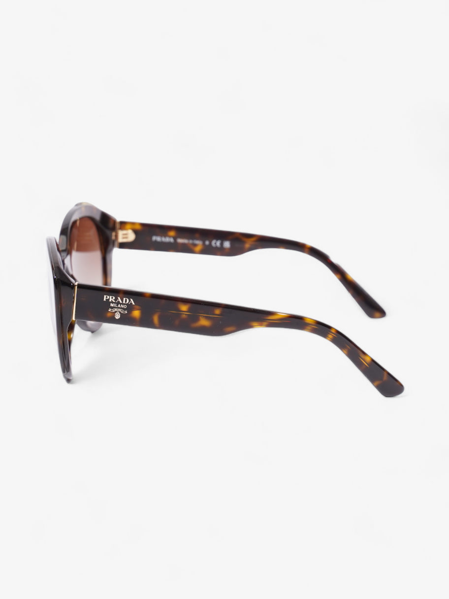 Prada Circular Sunglasses Tortoise  Acetate 140mm Image 2