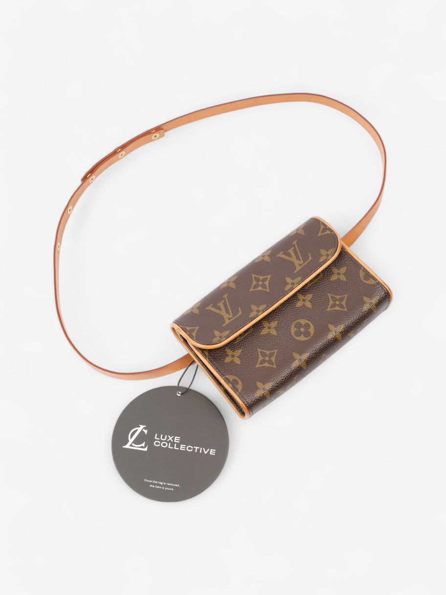 Louis Vuitton Pochette Florentine Monogram Coated Canvas XS Image 9