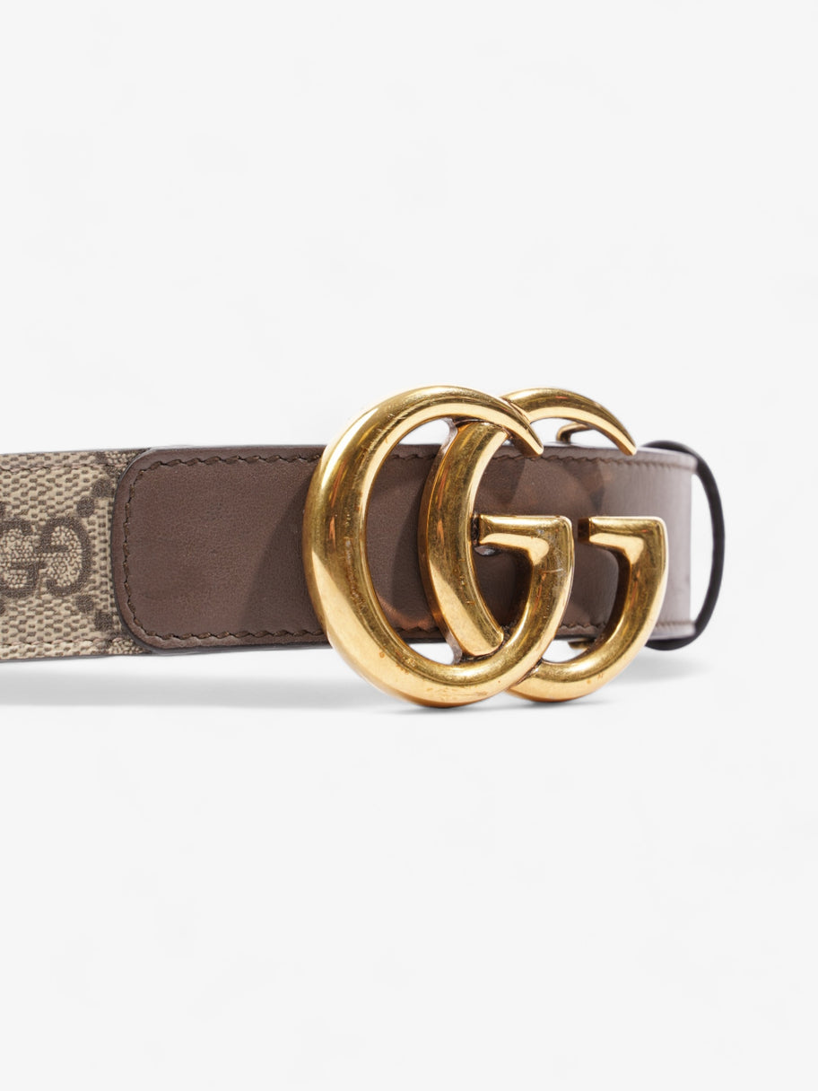 Gucci GG Marmont Thin Belt GG Supreme / Brown Leather 75cm / 30