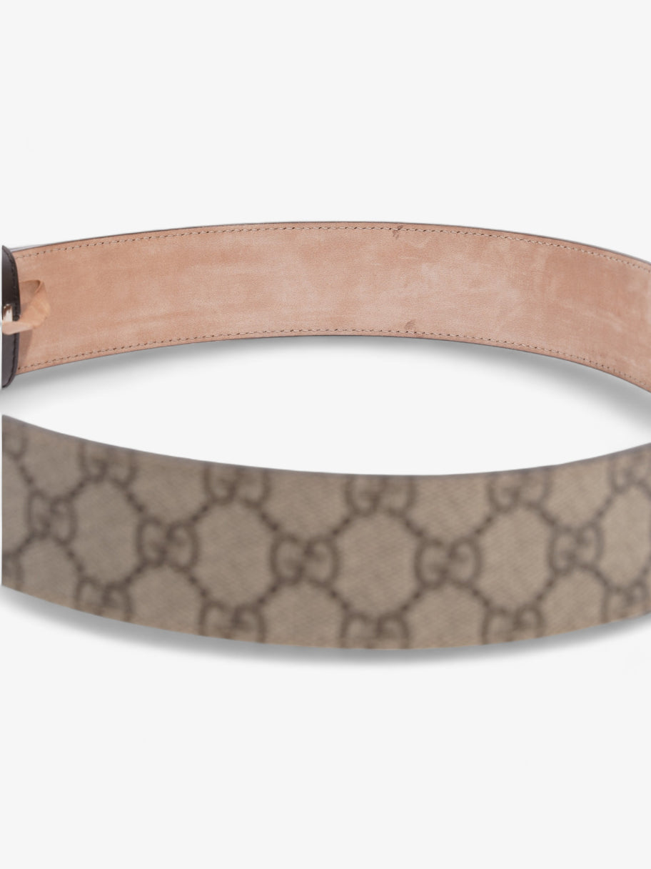 Blondie Belt Beige / Ebony Canvas 85cm / 34