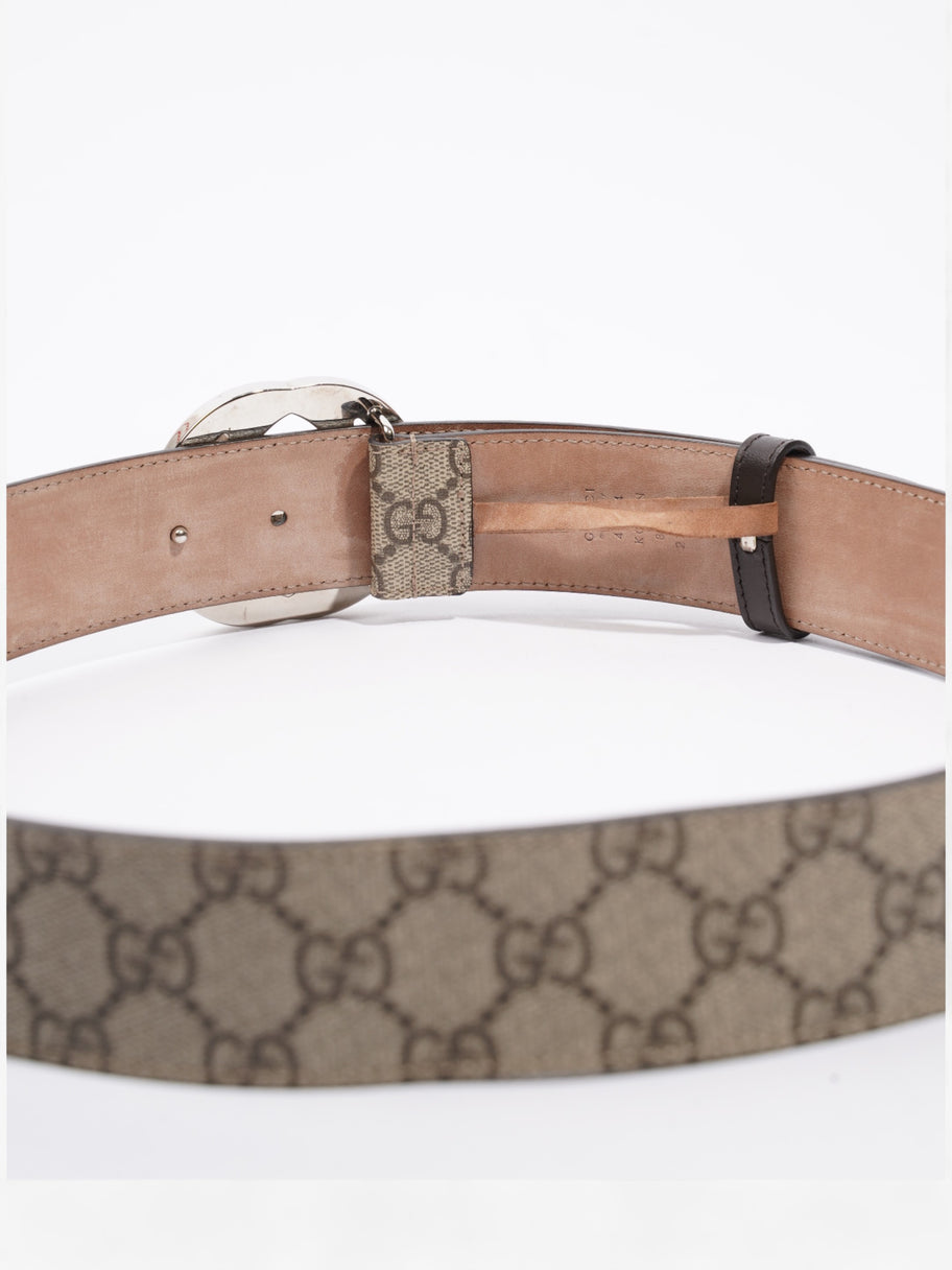 Blondie Belt Beige / Ebony Canvas 85cm / 34