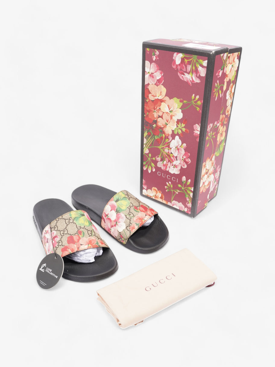 Gucci GG Supreme Blooms Floral Slides Beige  / Floral Canvas EU 38 UK 5 Image 10