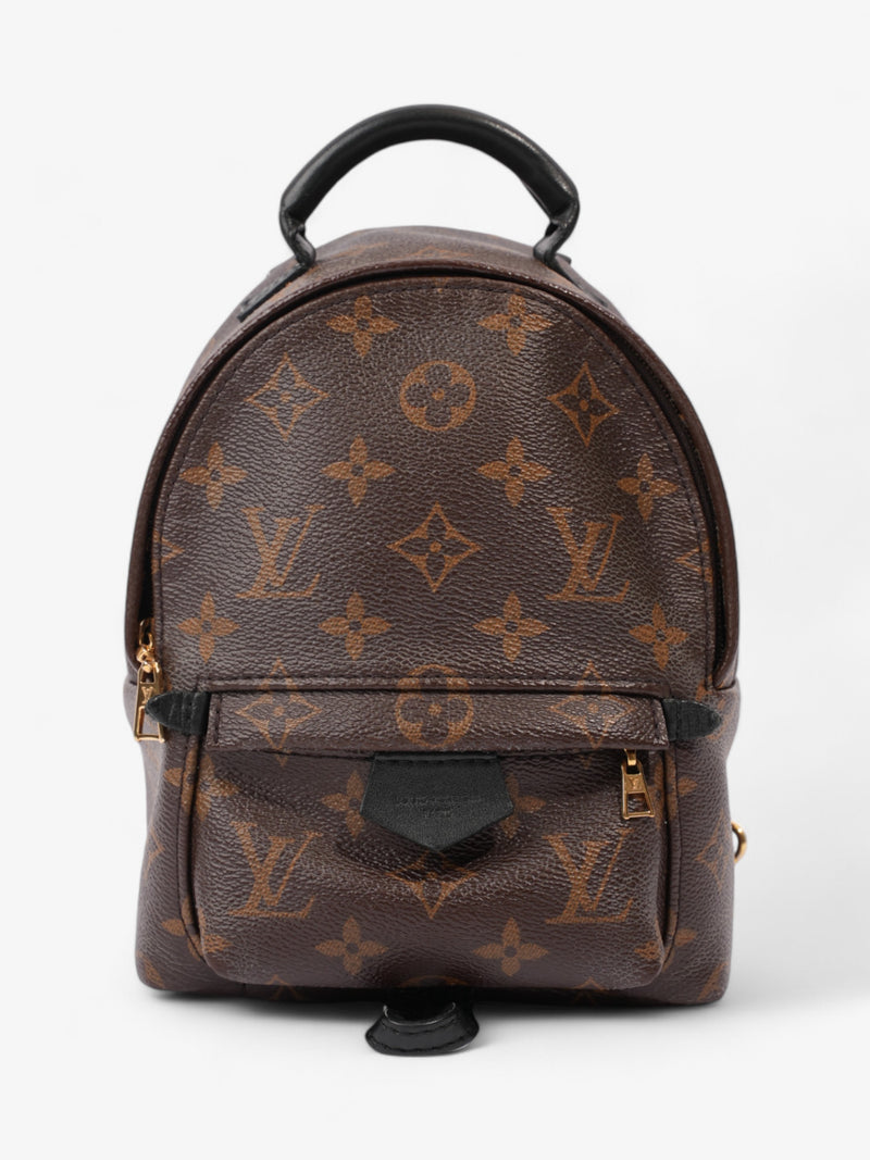  Louis Vuitton Palm Springs Monogram Coated Canvas Mini