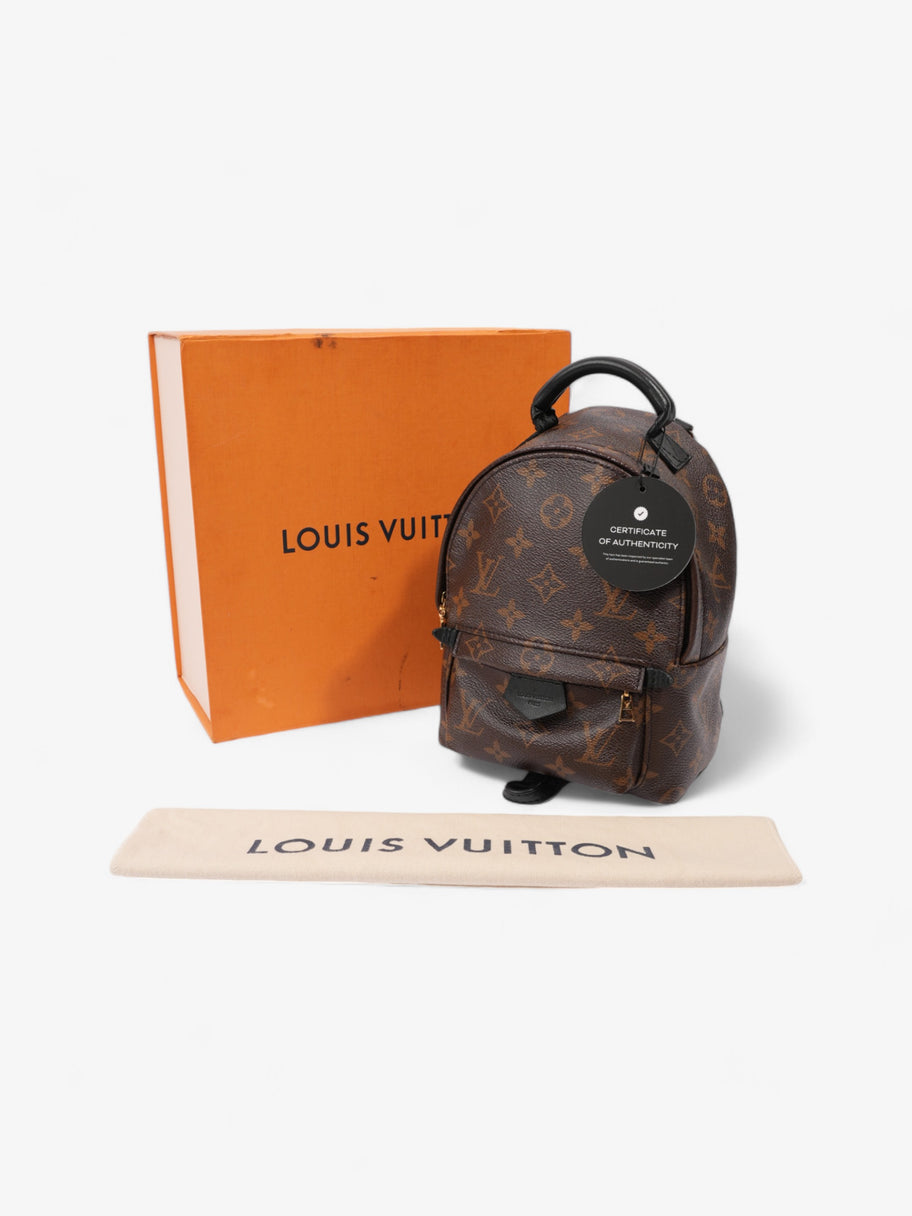 Louis Vuitton Palm Springs Monogram Coated Canvas Mini Image 10