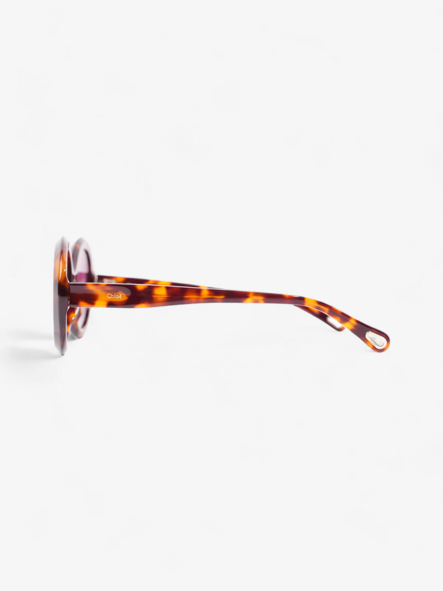 Chloe Osco Sunglasses Tortoise  Acetate 145mm Image 2