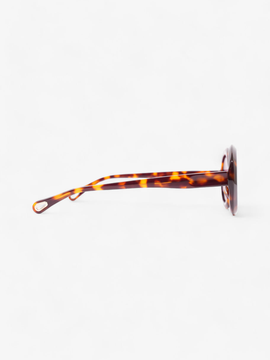 Chloe Osco Sunglasses Tortoise  Acetate 145mm Image 4