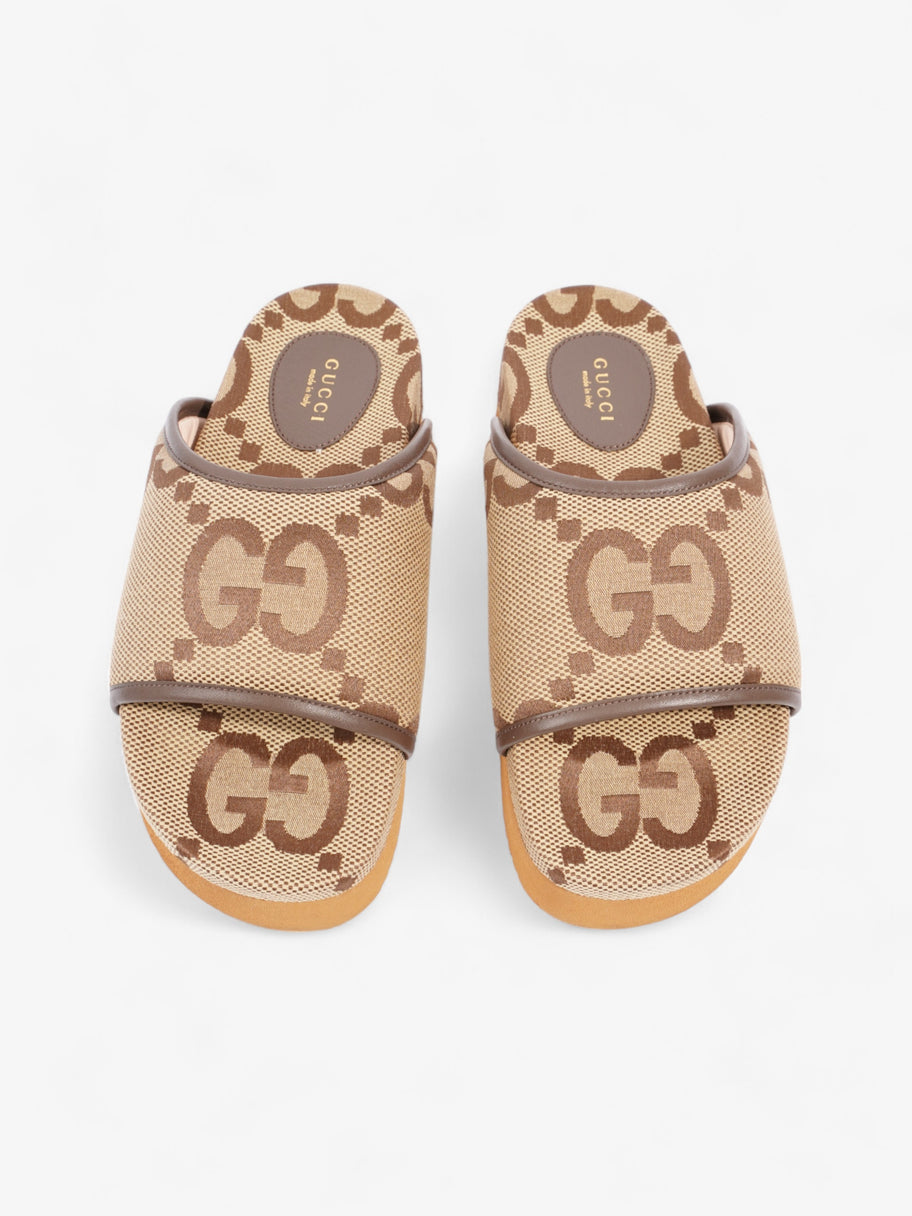 Gucci GG Platform Slides Beige And Ebony GG Supreme Canvas EU 38 UK 5 Image 8