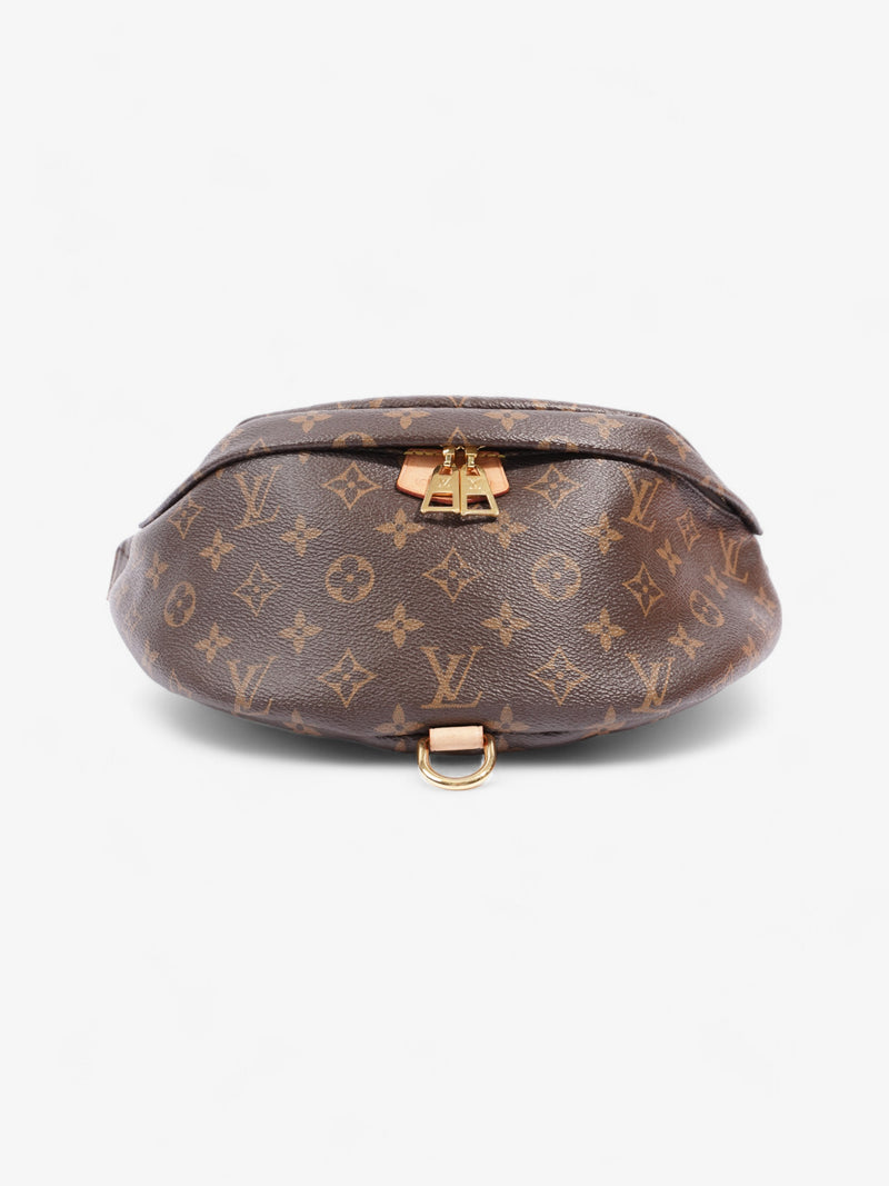  Louis Vuitton Bum Bag Monogram Coated Canvas