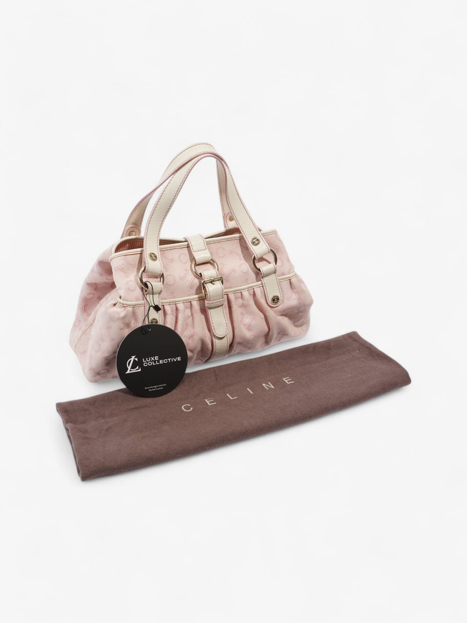 Celine Macadam Pink / White Canvas Image 11