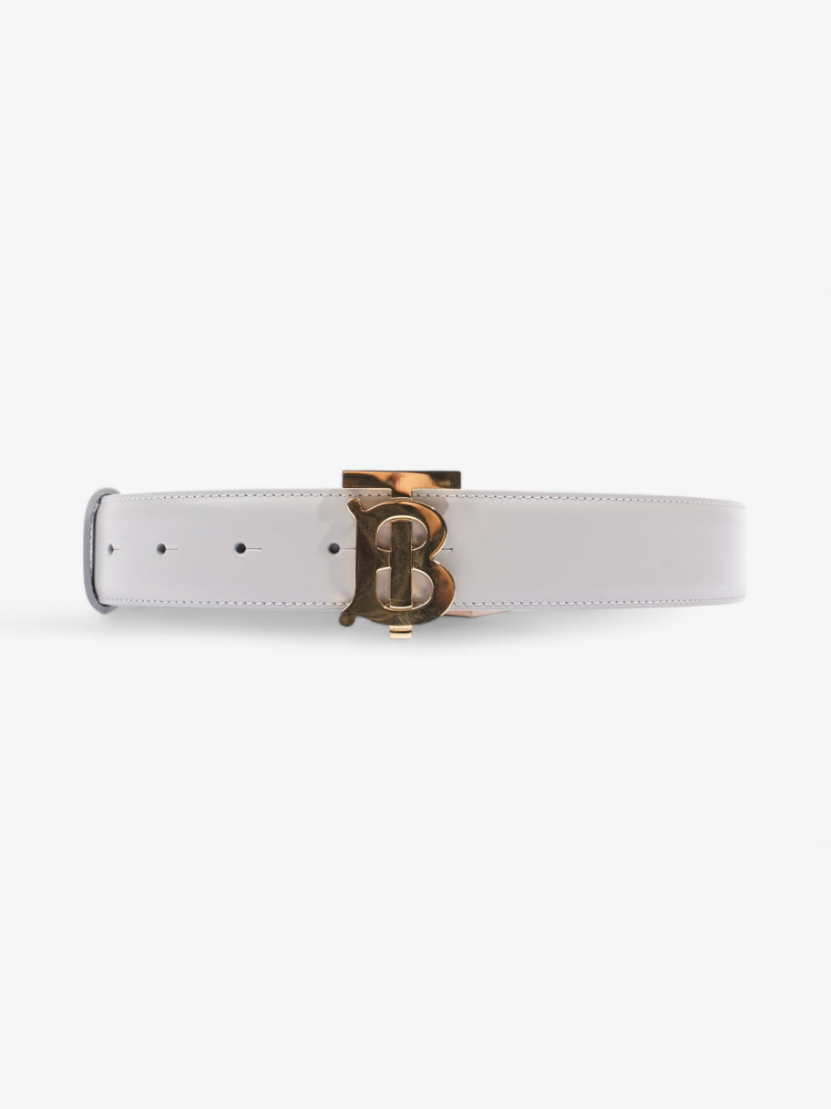 TB Belt Grey Leather Medium Image 1