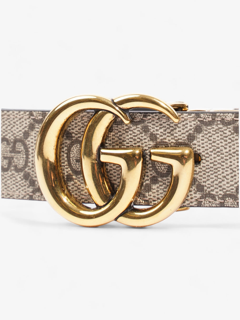 Gucci Marmont Reversible Belt Supreme Coated Canvas 80cm 32