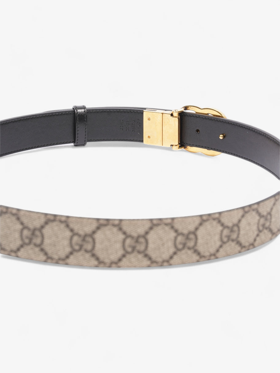 Gucci Marmont Reversible Belt Supreme Coated Canvas 80cm 32