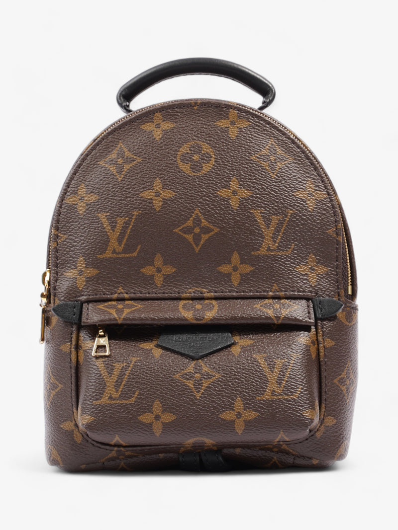  Louis Vuitton Palm Springs Monogram Coated Canvas Mini