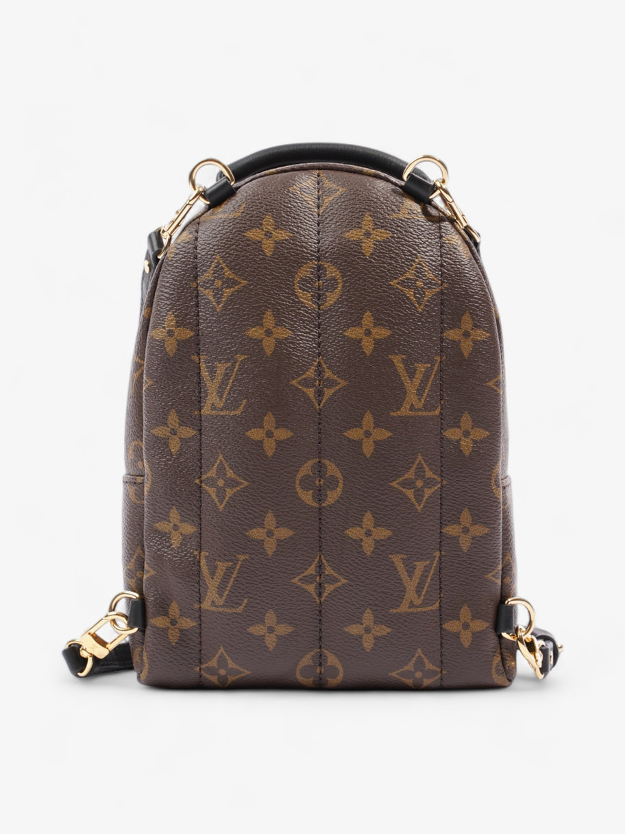 Louis Vuitton Palm Springs Monogram Coated Canvas Mini Image 4