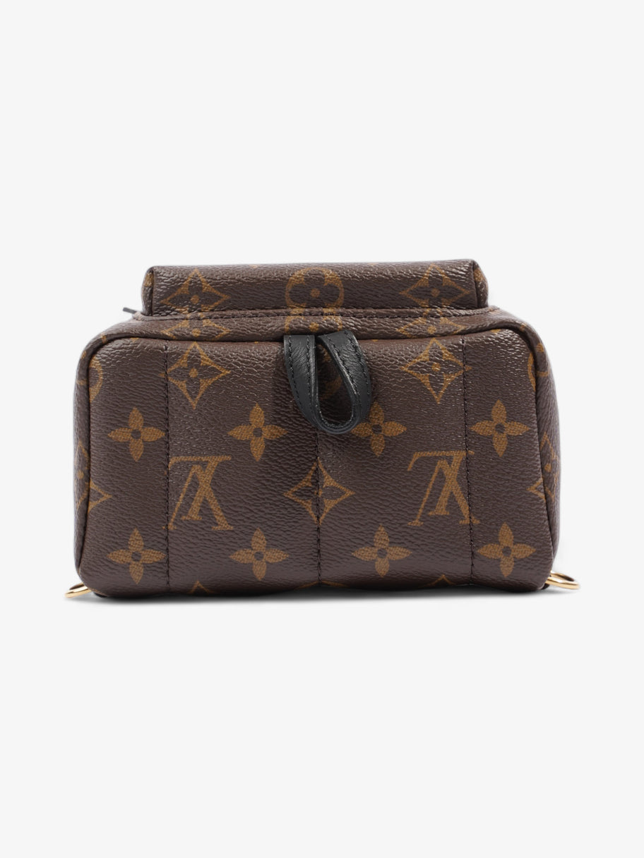 Louis Vuitton Palm Springs Monogram Coated Canvas Mini Image 6