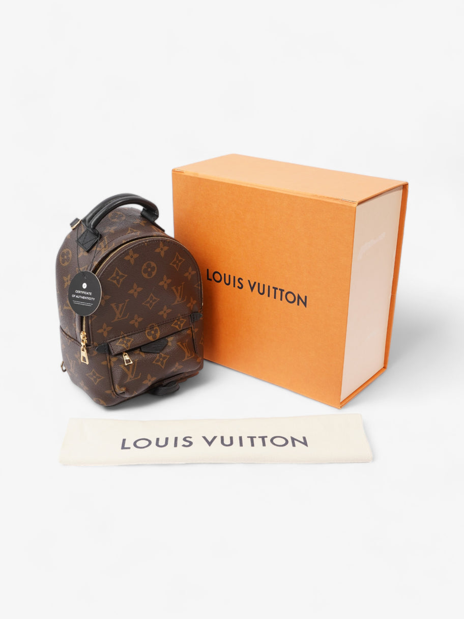 Louis Vuitton Palm Springs Monogram Coated Canvas Mini Image 11