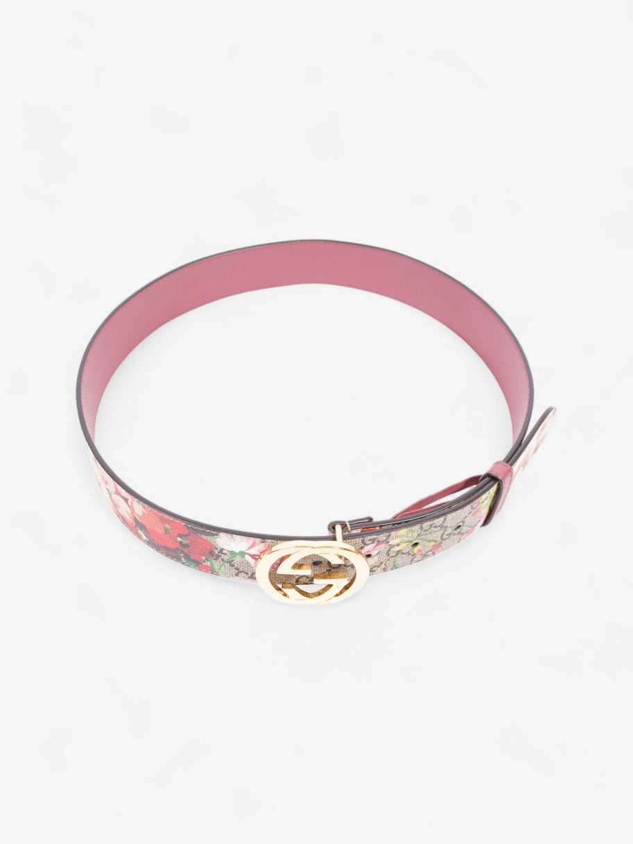 Gucci Blooms Belt GG Supreme / Bloom Canvas 80cm / 32