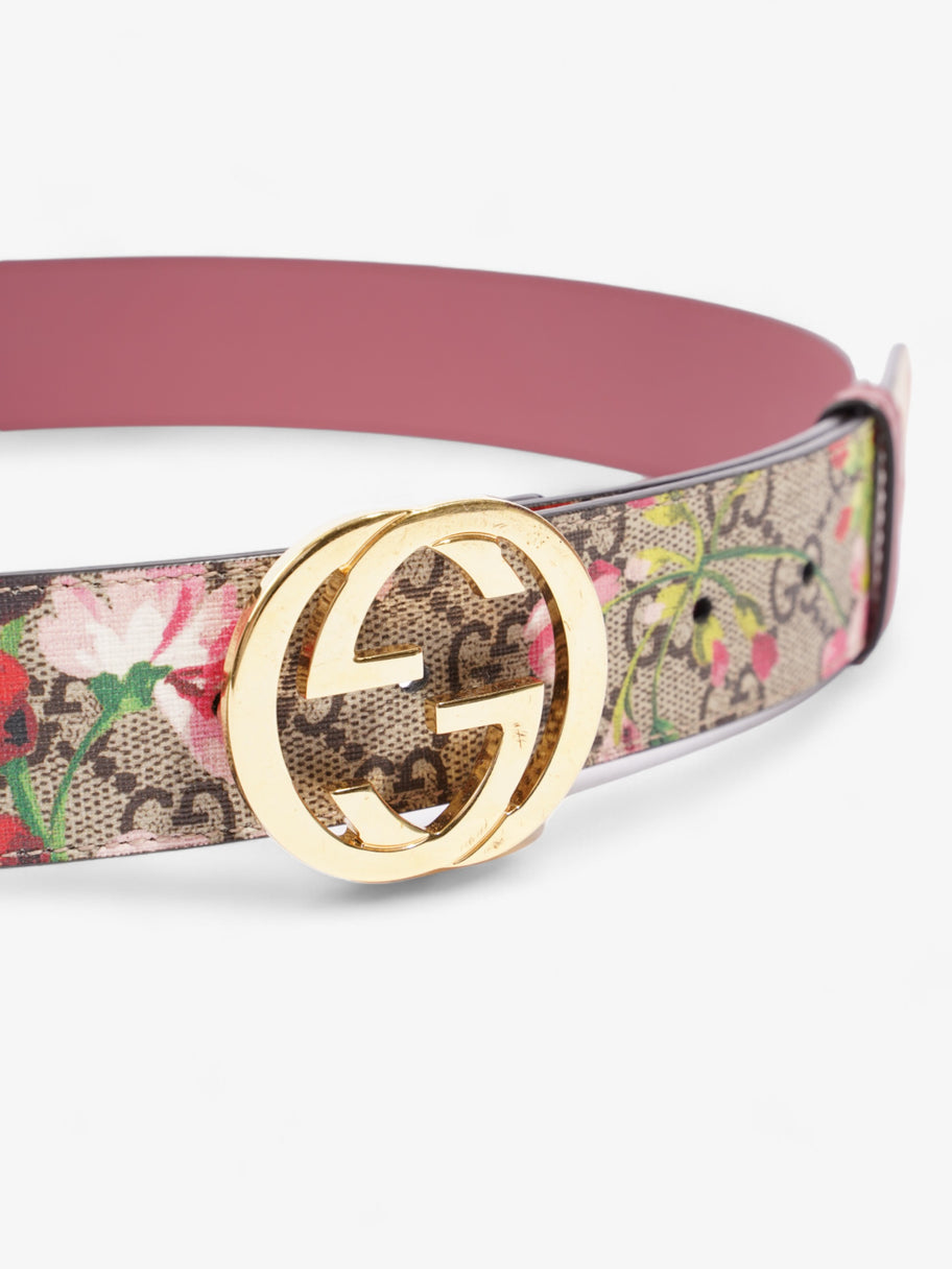 Gucci Blooms Belt GG Supreme / Bloom Canvas 80cm / 32