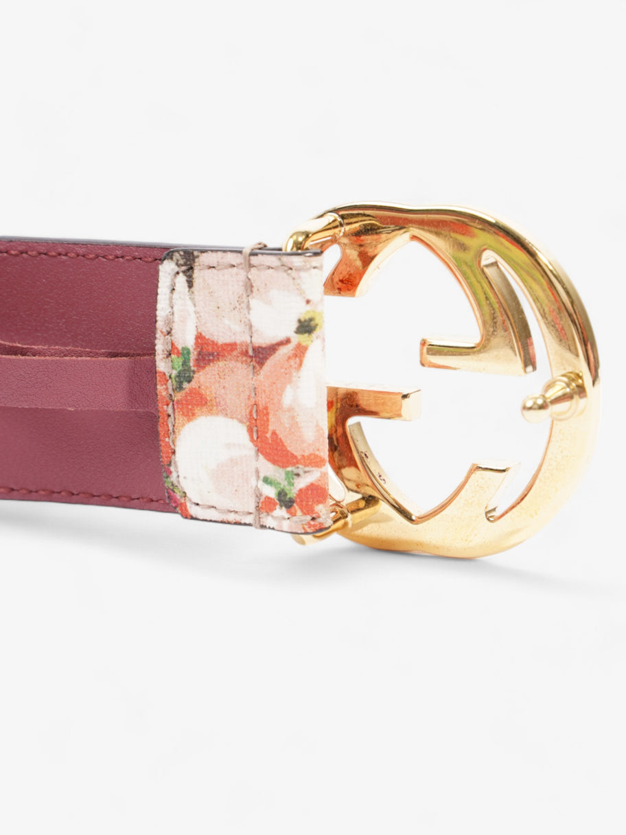 Gucci Blooms Belt GG Supreme / Bloom Canvas 80cm / 32