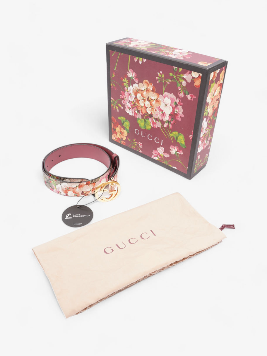 Gucci Blooms Belt GG Supreme / Bloom Canvas 80cm / 32