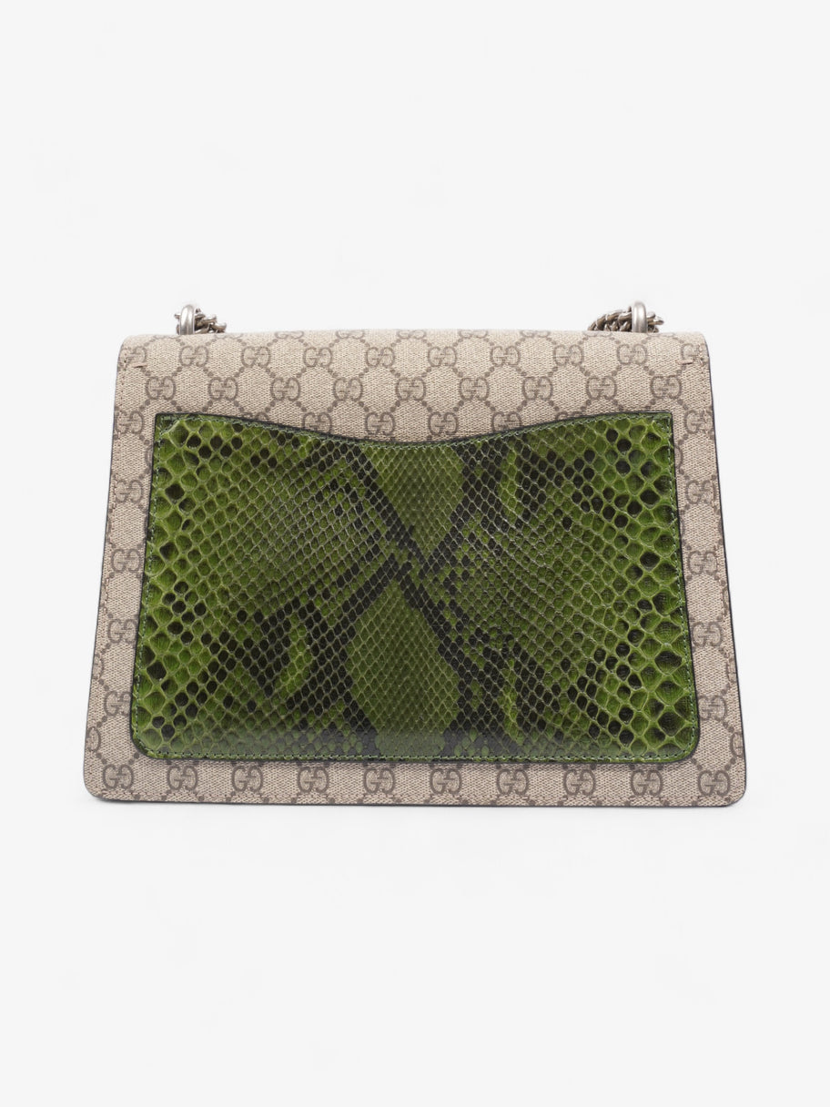 Gucci Dionysus Supreme / Green Python Coated Canvas Medium Image 4