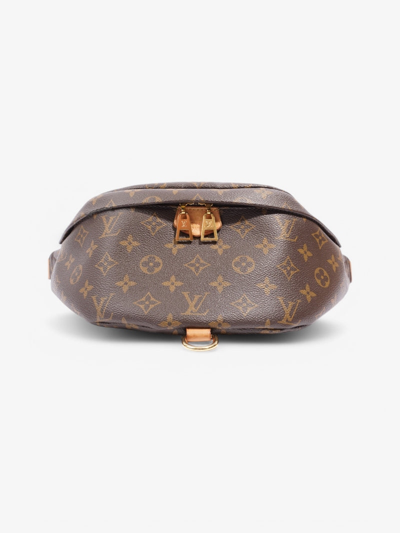  Louis Vuitton Bumbag Monogram Coated Canvas