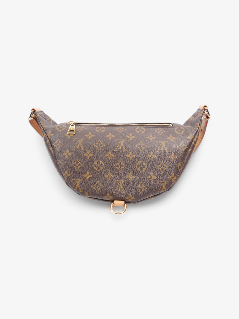 Louis Vuitton Bumbag Monogram Coated Canvas Image 4