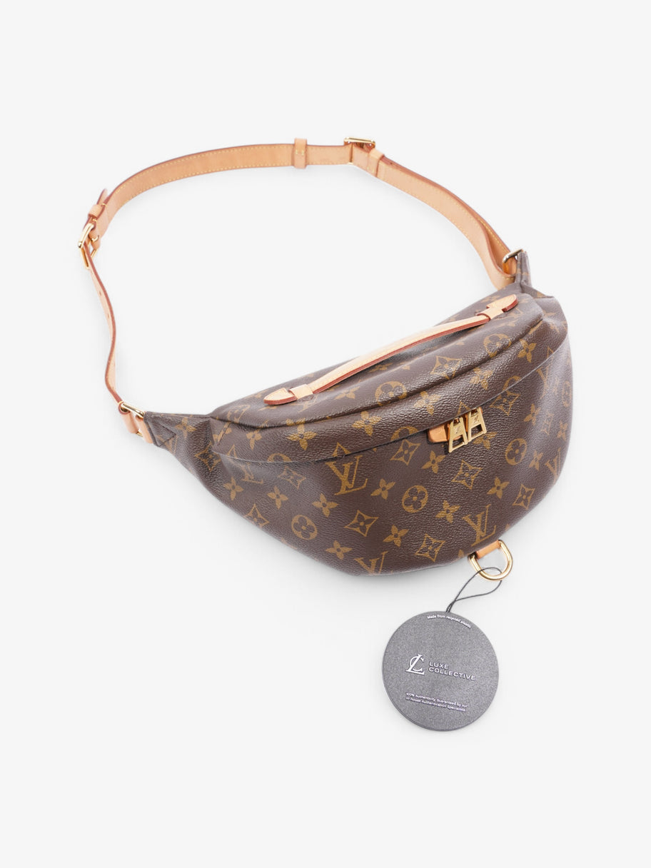 Louis Vuitton Bumbag Monogram Coated Canvas Image 8