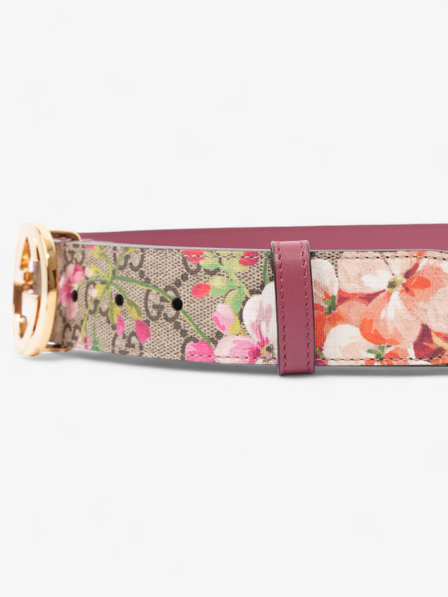 Gucci Interlocking G Belt Bloom Monogram Canvas 80cm / 32