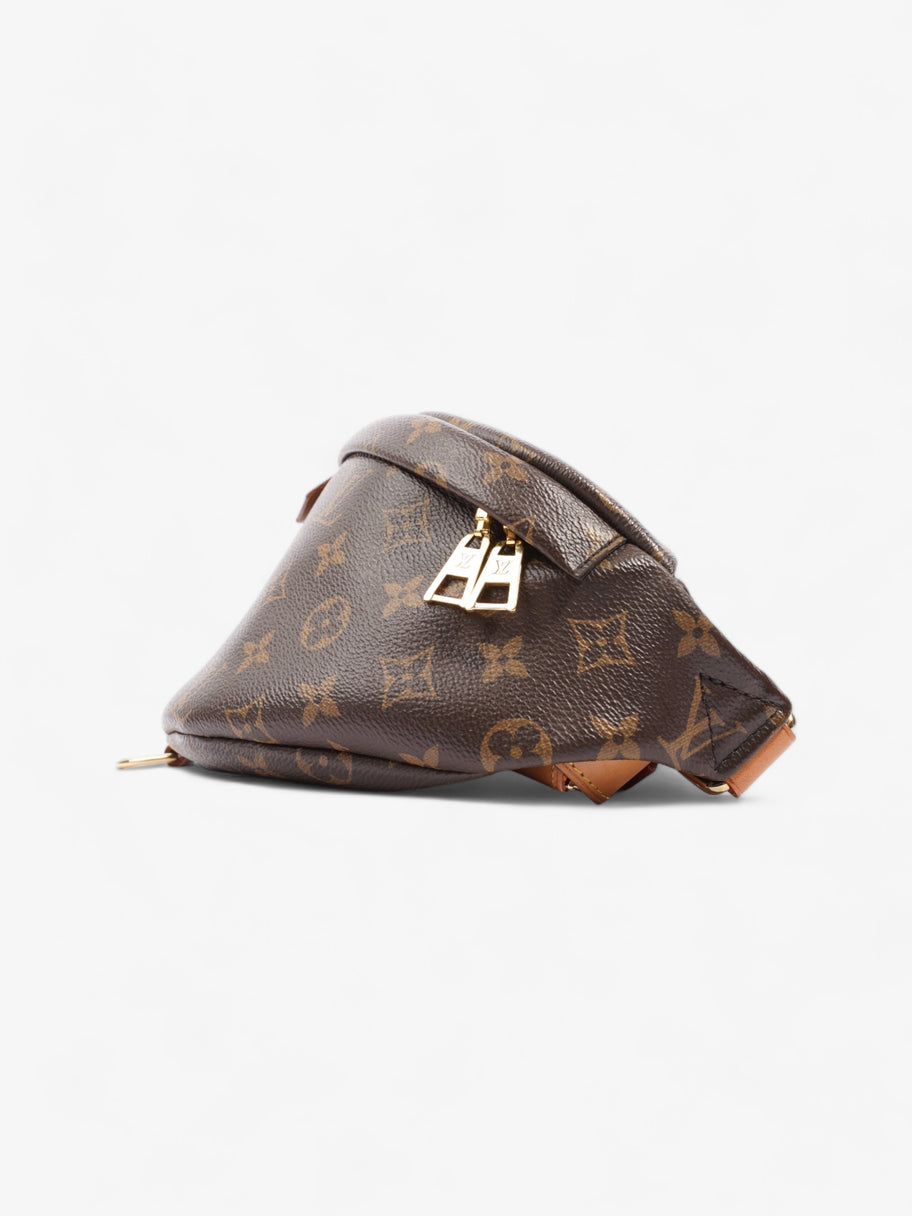 Louis Vuitton Bumbag Monogram Coated Canvas Image 3