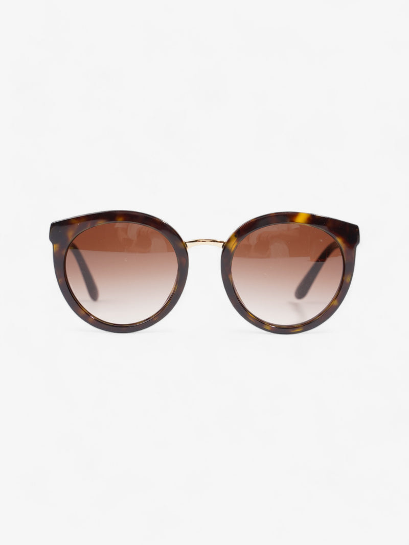  Dolce and Gabbana DG4268 Sunglasses Tortoise Shell Acetate 140mm