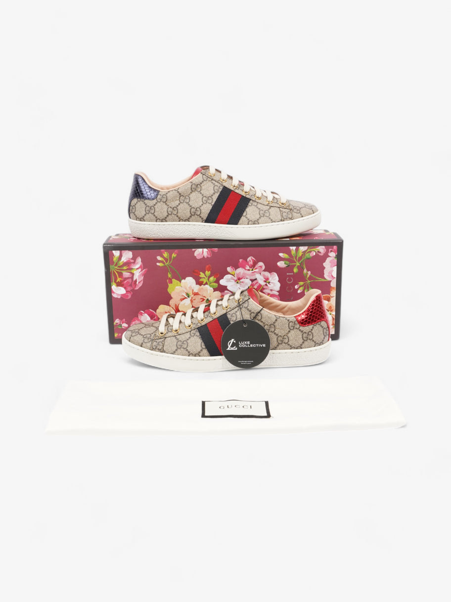 Gucci GG Supreme Ace Beige  / Navy / Red Canvas EU 38 UK 5 Image 10