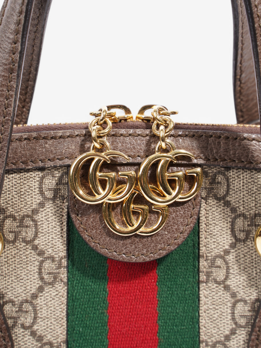 Gucci Ophidia Beige  / Brown / Green Coated Canvas Large Image 7