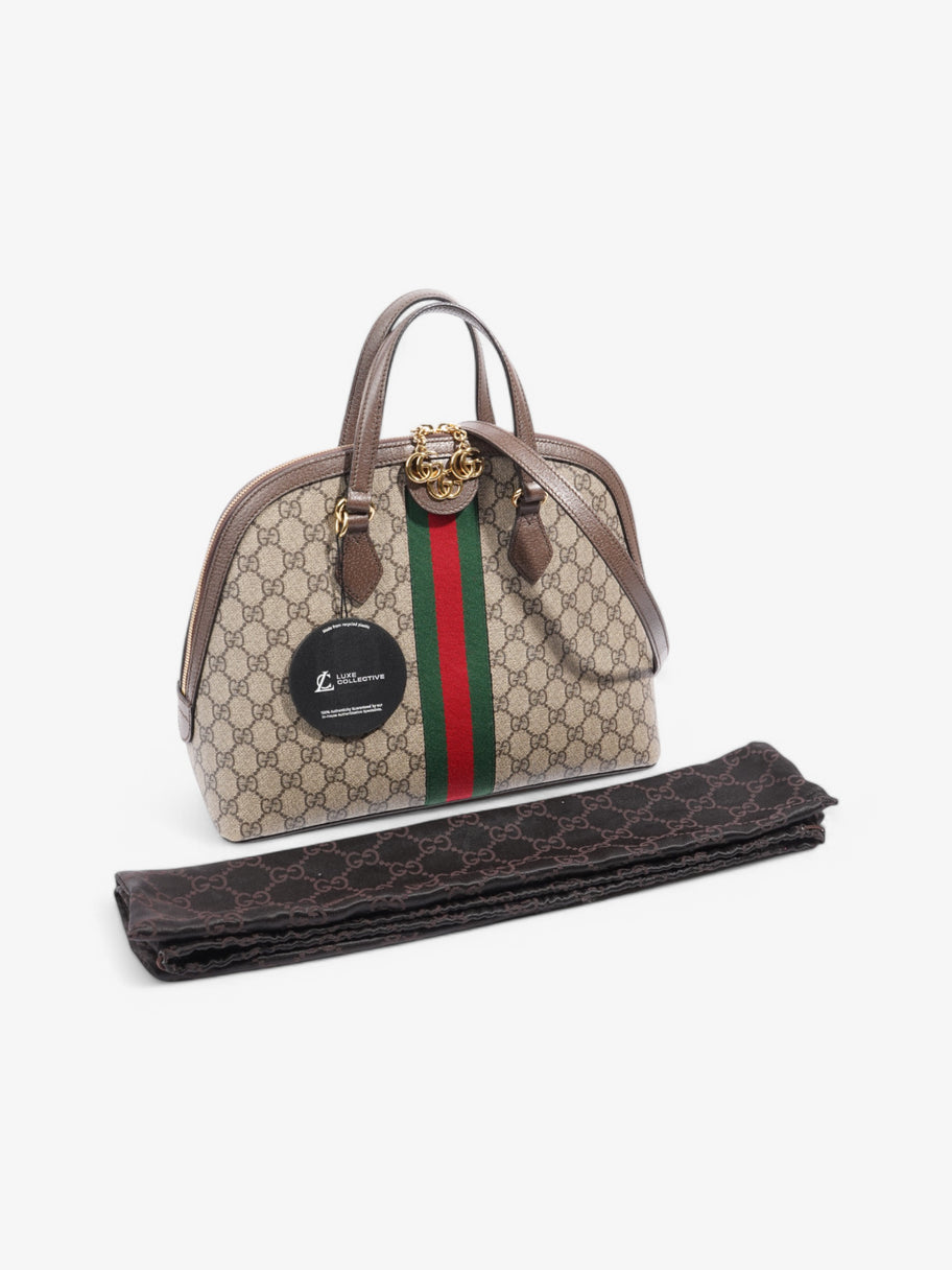 Gucci Ophidia Beige  / Brown / Green Coated Canvas Large Image 9