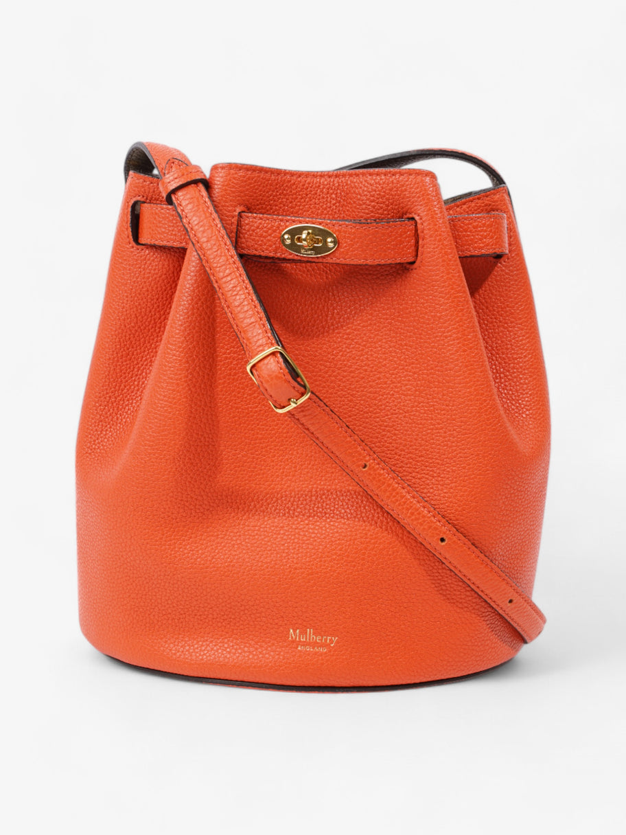 Mulberry Abbey Orange / Taupe Grained Leather Small Image 1