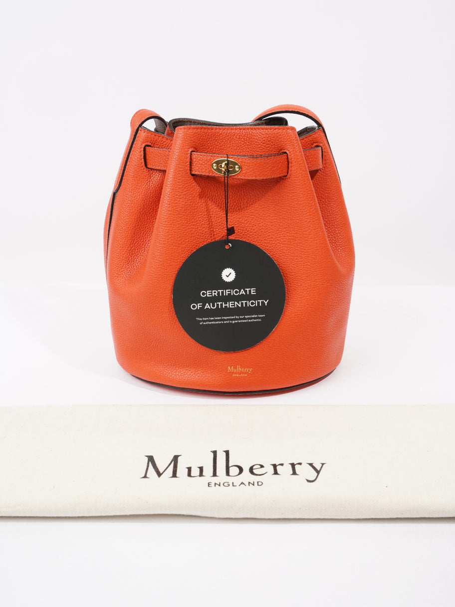 Mulberry Abbey Orange / Taupe Grained Leather Small Image 10