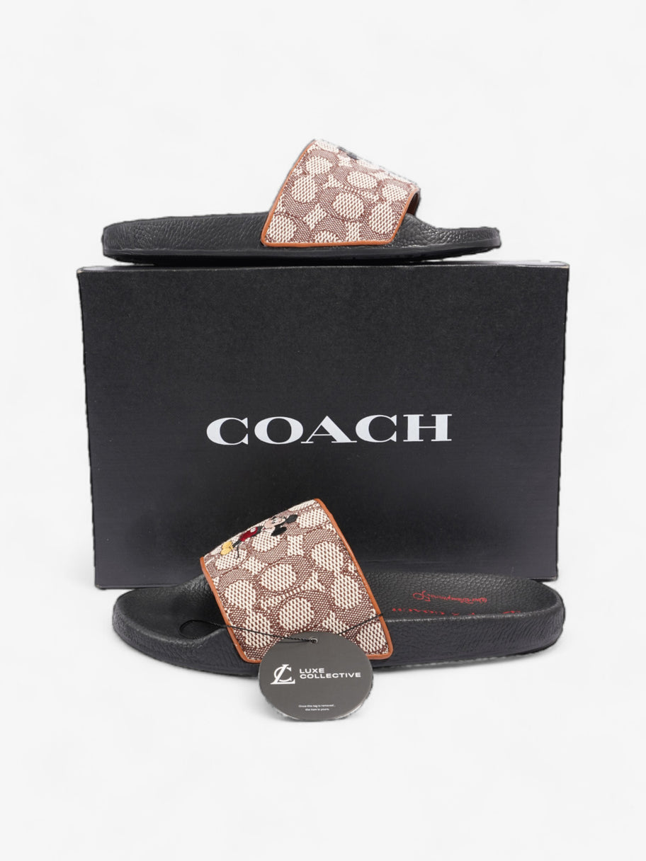 Coach Disney X Coach Sig Jacq Slide Cream / Brown / Black Cotton EU 39.5 UK 6.5 Image 10