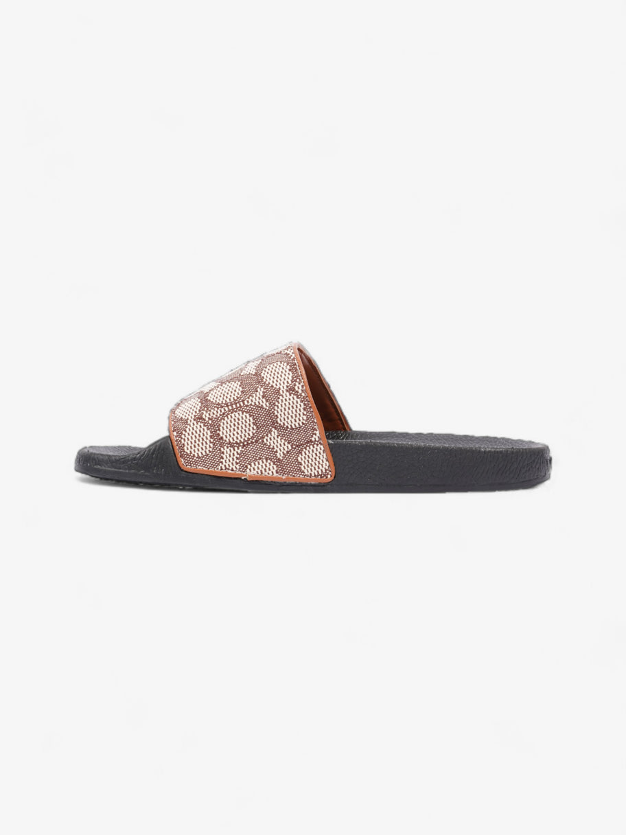 Coach Disney X Coach Sig Jacq Slide Cream / Brown / Black Cotton EU 39.5 UK 6.5 Image 3