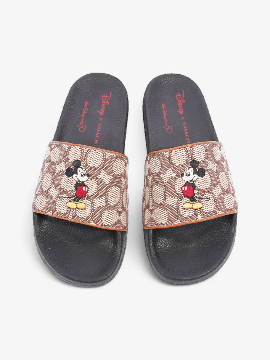 Coach Disney X Coach Sig Jacq Slide Cream / Brown / Black Cotton EU 39.5 UK 6.5 Image 8