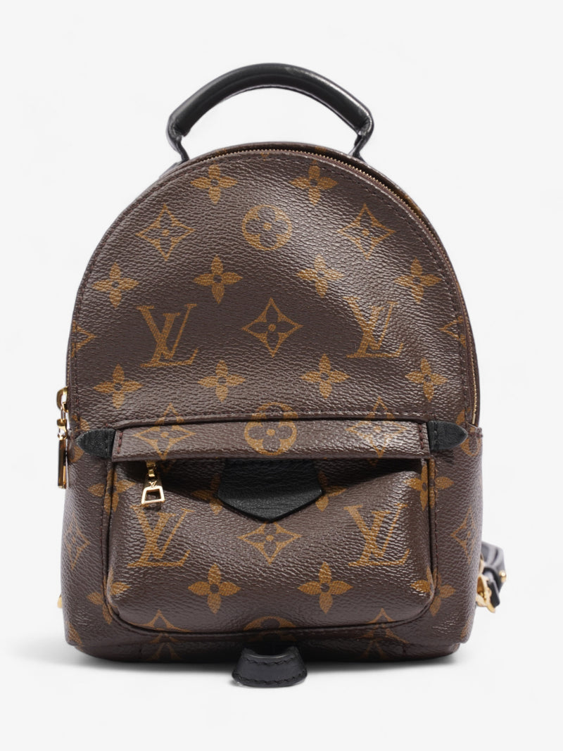  Louis Vuitton Palm Springs Monogram Coated Canvas