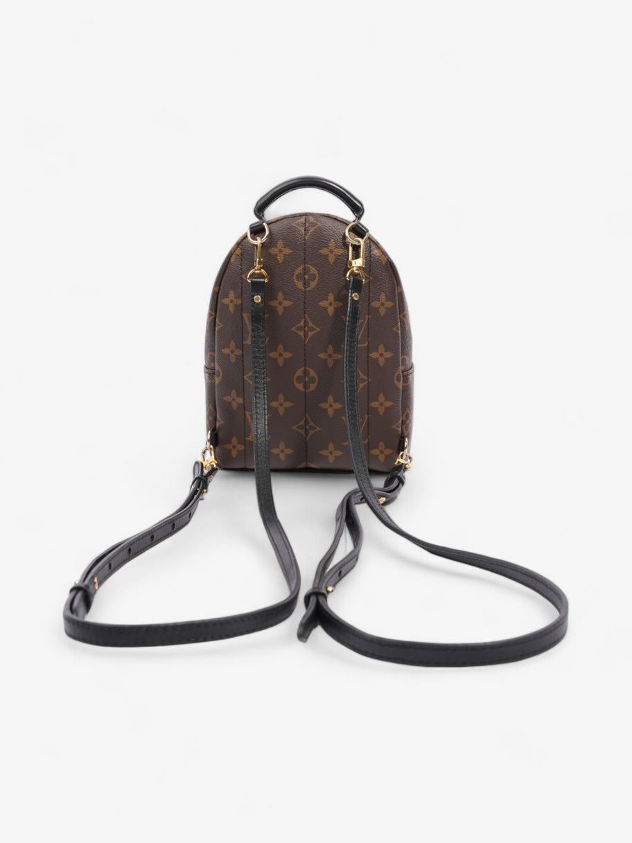 Louis Vuitton Palm Springs Monogram Coated Canvas Image 4