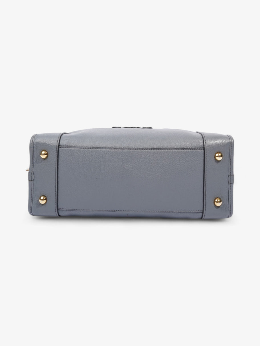 Loewe Amazona Grey Leather 36 Image 6