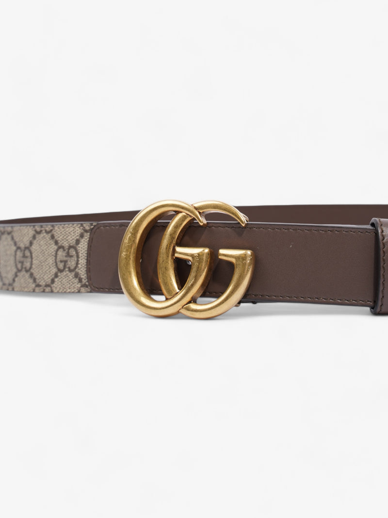  Gucci GG Marmont Belt GG Supreme / Brown / Gold Canvas 85cm / 34