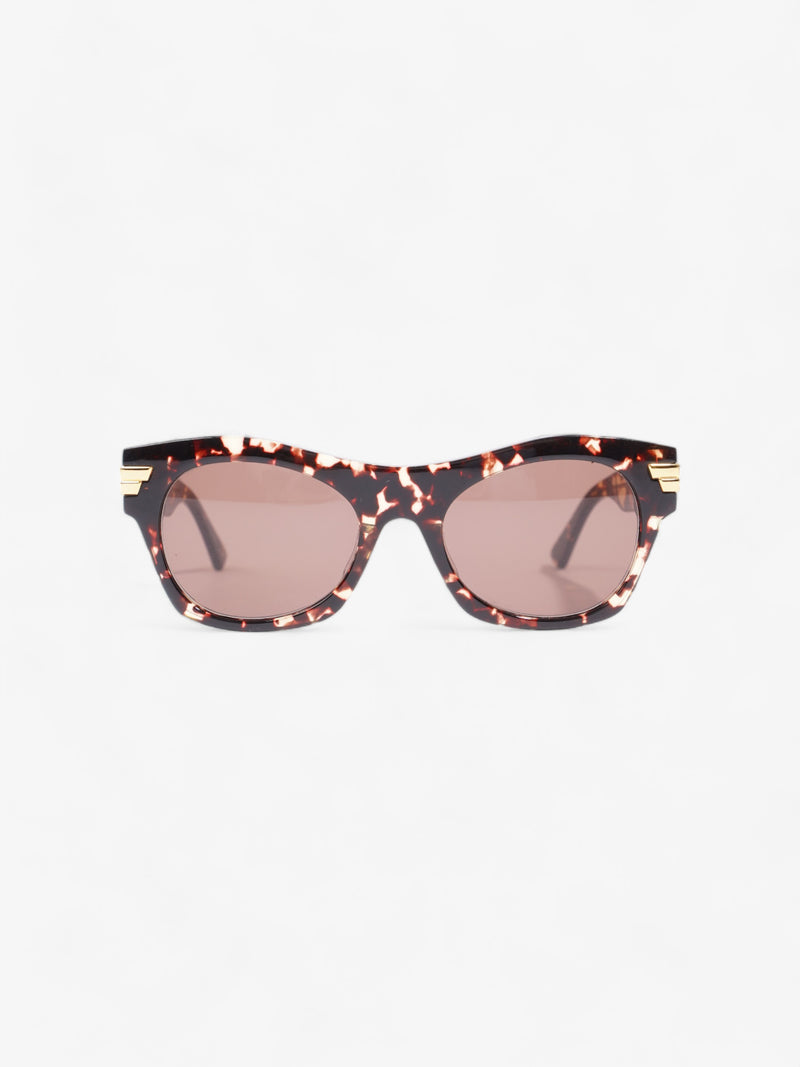  Round Sunglasses Havana Brown Acetate 145mm