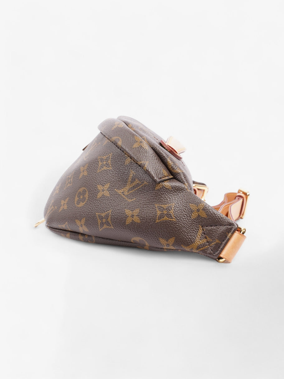 Louis Vuitton Bum Bag Monogram Coated Canvas Image 3