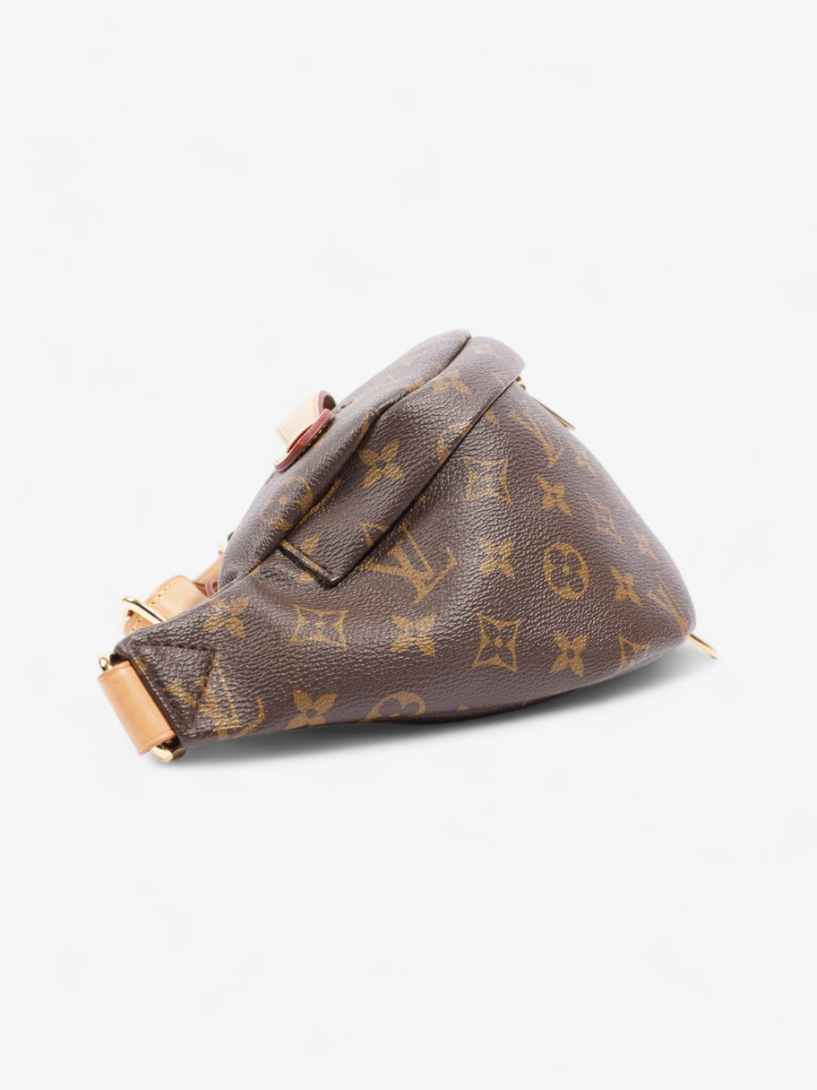 Louis Vuitton Bum Bag Monogram Coated Canvas Image 5