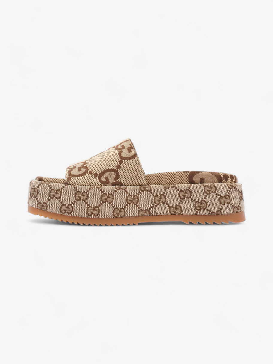 Gucci Angelina Camel And Ebony GG Supreme Canvas EU 38 UK 5 Image 3