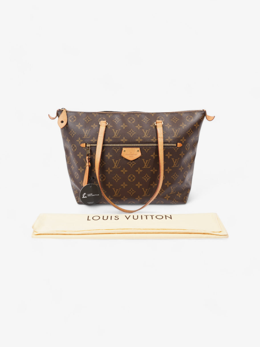 Louis Vuitton Lena Monogram Coated Canvas PM Image 10