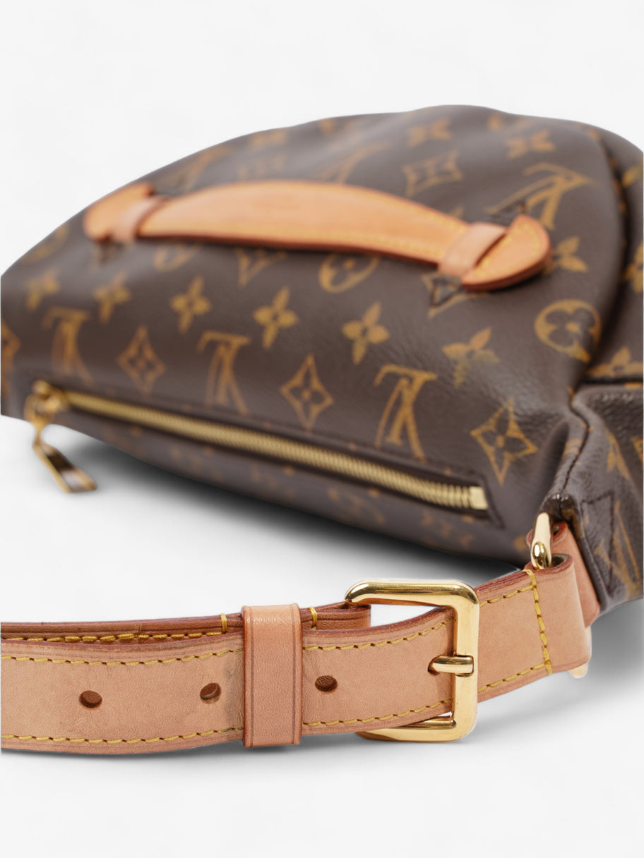 Louis Vuitton Bum Bag Monogram Coated Canvas Image 7