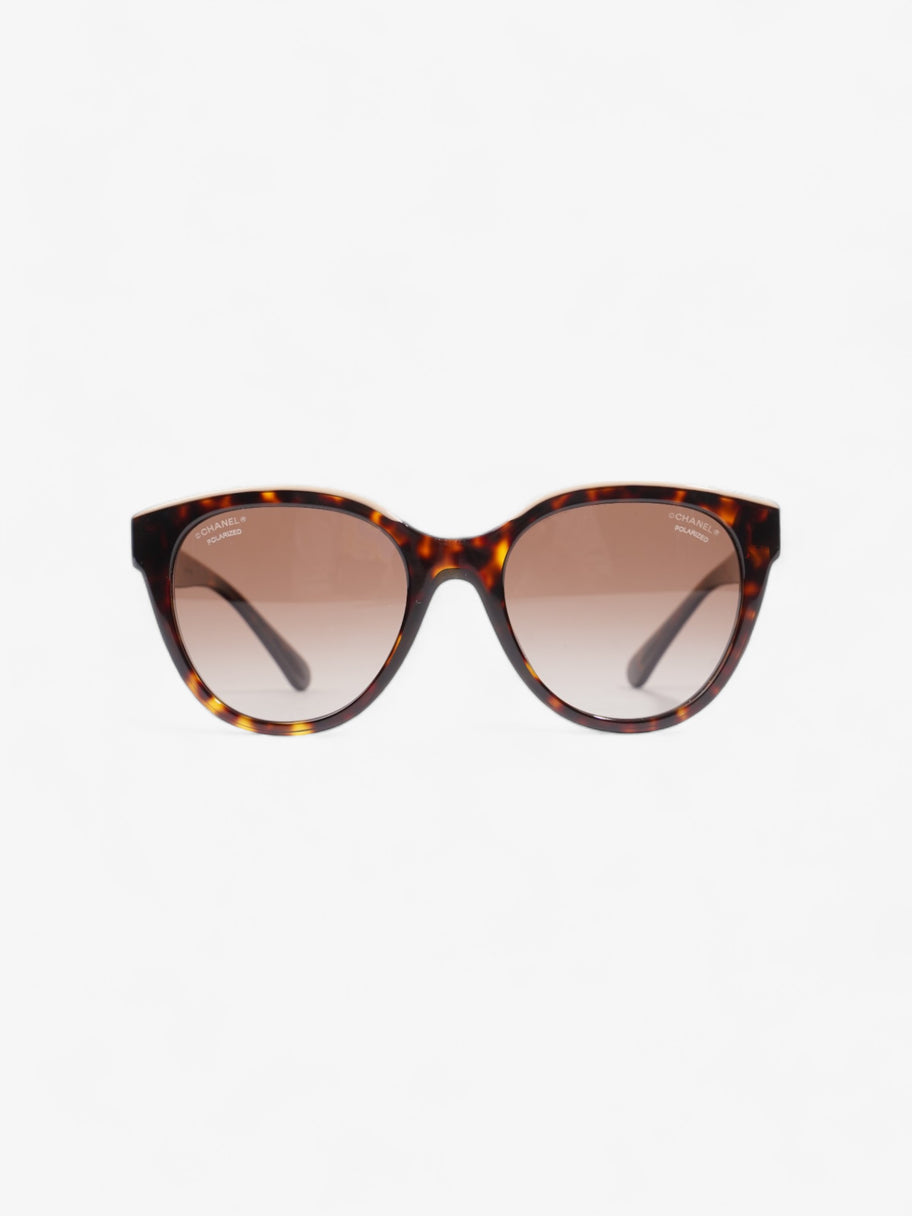 Wayfarer Frame Sunglasses Tortoise  / Beige Acetate 140mm Image 1